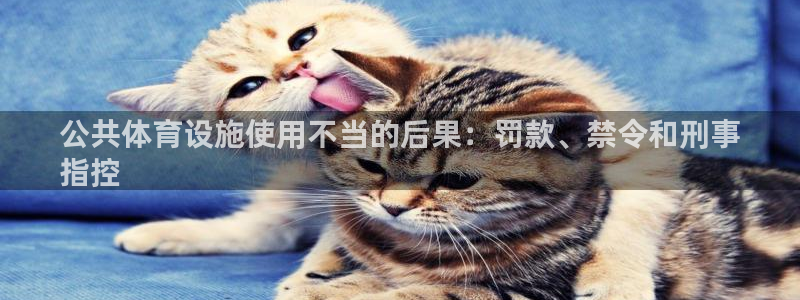 意昂体育3招商电话地址：公共体育设施使用不当的后果：