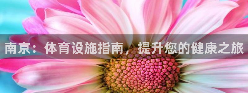 意昂体育3开户：南京：体育设施指南，提升您的健康之旅