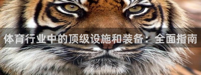意昂3娱乐代理怎么样：体育行业中的顶级设施和装备：全