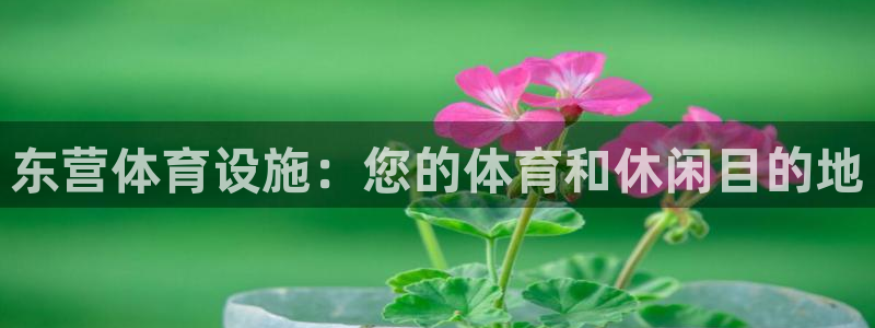 意昂体育3平台：东营体育设施：您的体育和休闲目的地