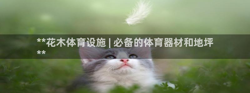 意昂体育3招商电话