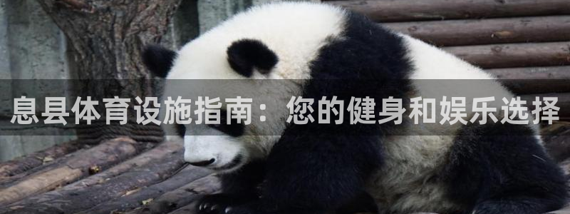 意昂平台体育：息县体育设施指南：您的健身和娱乐选择