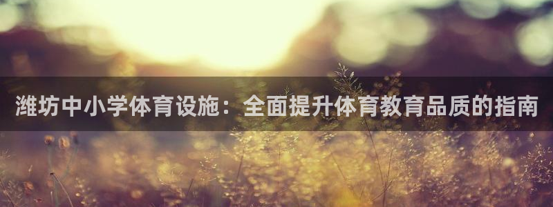 意昂3娱乐：潍坊中小学体育设施：全面提升体育教育品质