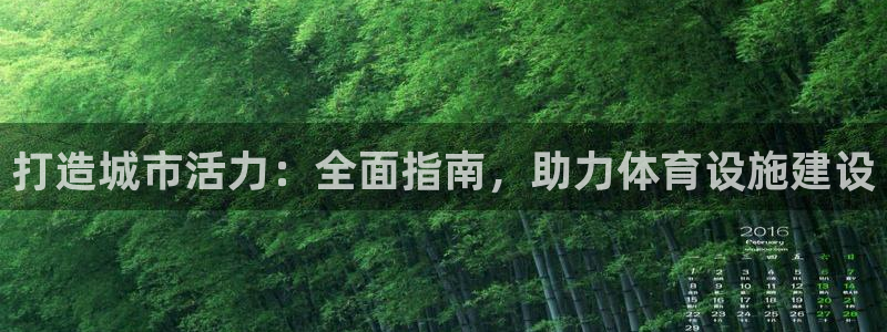 意昂体育3招商：打造城市活力：全面指南，助力体育设施