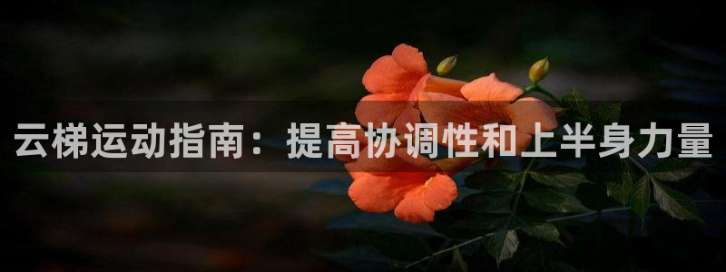 意昂集团官网：云梯运动指南：提高协调性和上半身力量