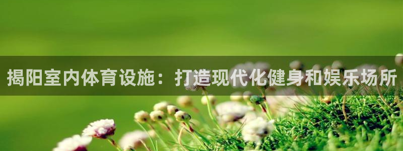 意昂体育3平台注册流程图：揭阳室内体育设施：打造现代