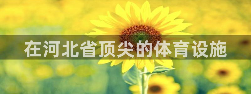 意昂3娱乐首页网站大全：在河北省顶尖的体育设施