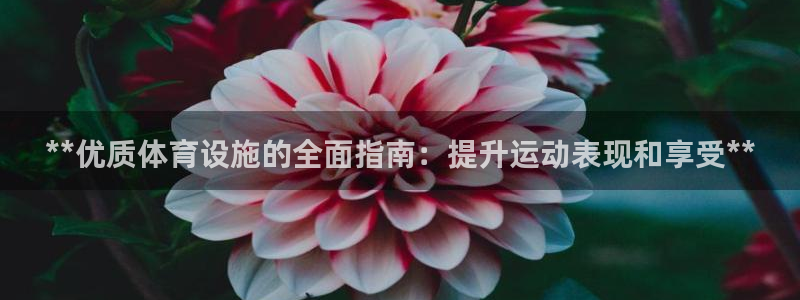 意昂集团官网：**优质体育设施的全面指南：提升运动表