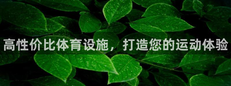 意昂体育3招商电话地址：高性价比体育设施，打造您的运
