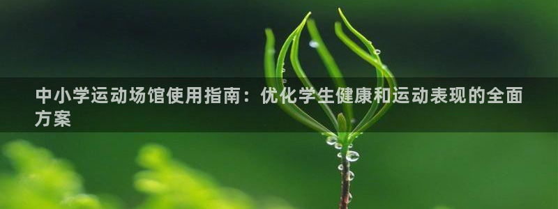 意昂体育3招商电话地址：中小学运动场馆使用指南：优化