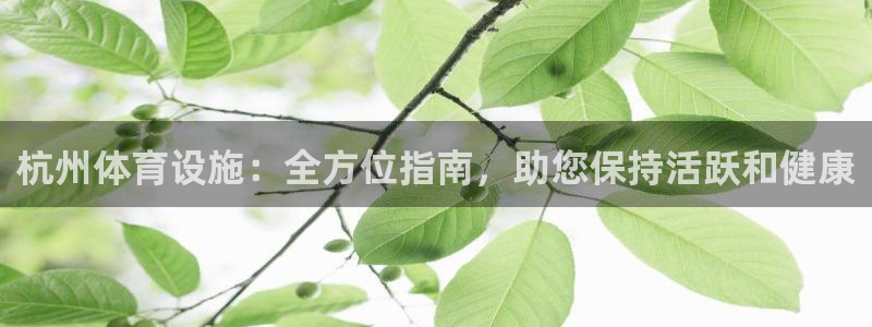 意昂体育3官方客服电话：杭州体育设施：全方位指南，助