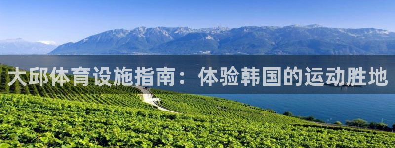 意昂体育3软件：大邱体育设施指南：体验韩国的运动胜地