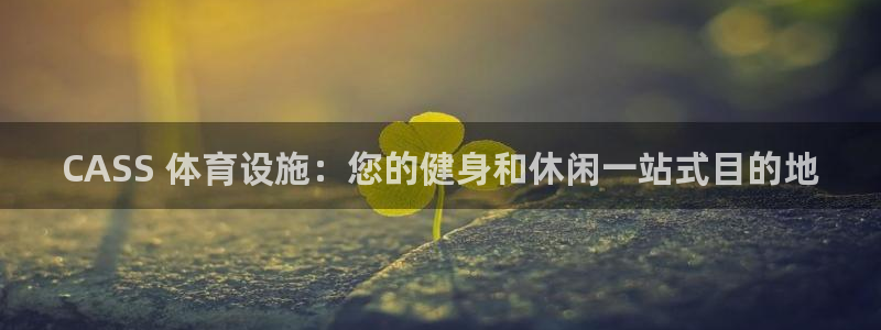 意昂体育3招商电话号码是多少号：CASS 体育设施：