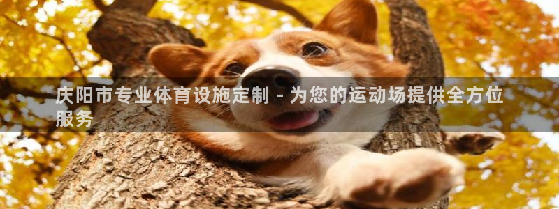 意昂体育3招商电话号码是多少：庆阳市专业体育设施定制