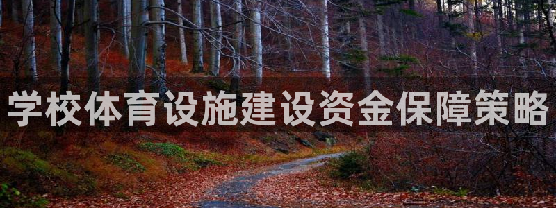 意昂3官网：学校体育设施建设资金保障策略