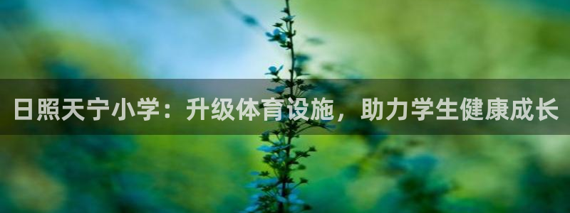 意昂3集团官网网址：日照天宁小学：升级体育设施，助力