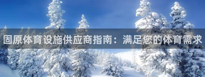 意昂3娱乐是那个系列的台子：固原体育设施供应商指南：