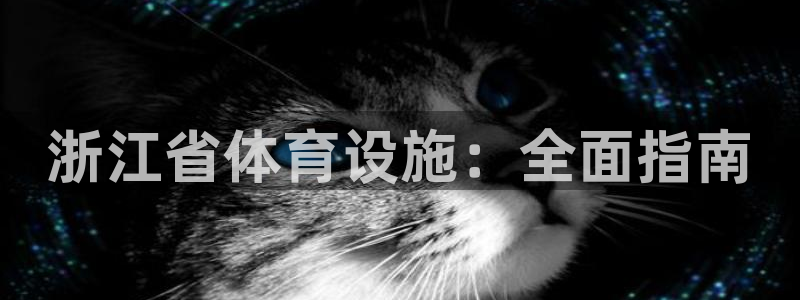 意昂体育3招商：浙江省体育设施：全面指南