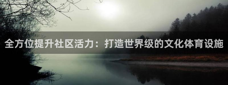 意昂3新能源：全方位提升社区活力：打造世界级的文化体