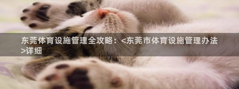 意昂体育3平台注册要钱吗安全吗：东莞体育设施管理全攻