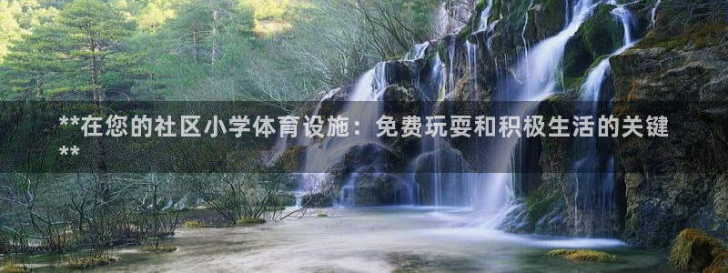 意昂体育3平台注册流程图：**在您的社区小学体育设施