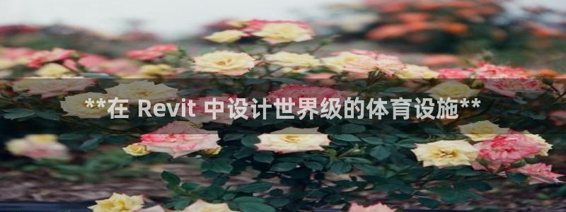 意昂体育3平台APP：**在 Revit 中设计世界