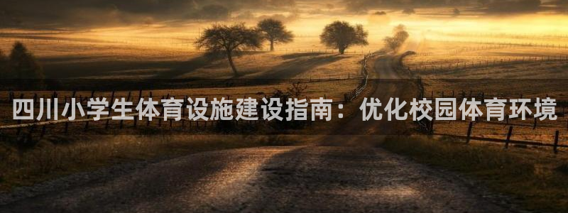 意昂3娱乐是那个系列的台子：四川小学生体育设施建设指