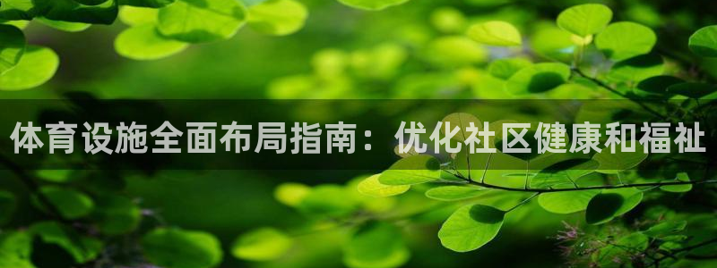 意昂体育3开户：体育设施全面布局指南：优化社区健康和