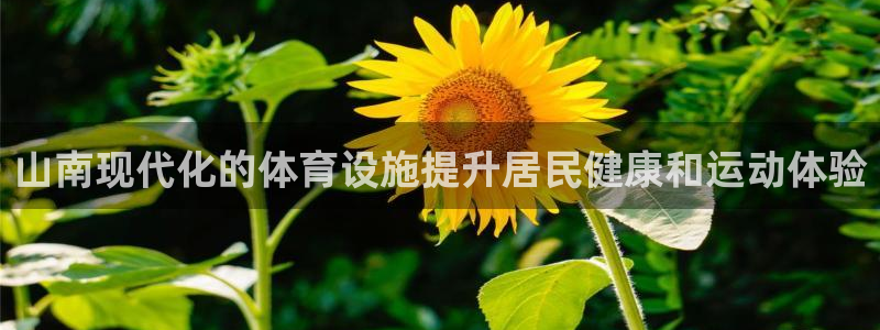 意昂体育3平台是正规平台吗：山南现代化的体育设施提升