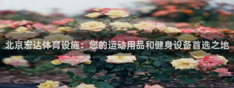 意昂3娱乐是那个系列的台子：北京宏达体育设施：您的运