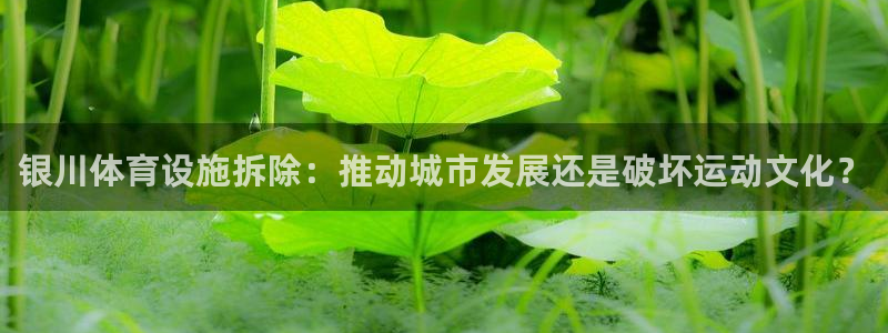 意昂3开户：银川体育设施拆除：推动城市发展还是破坏运