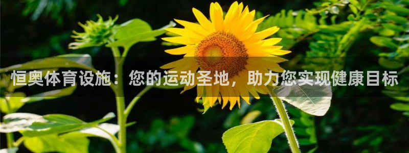 意昂体育3：恒奥体育设施：您的运动圣地，助力您实现健