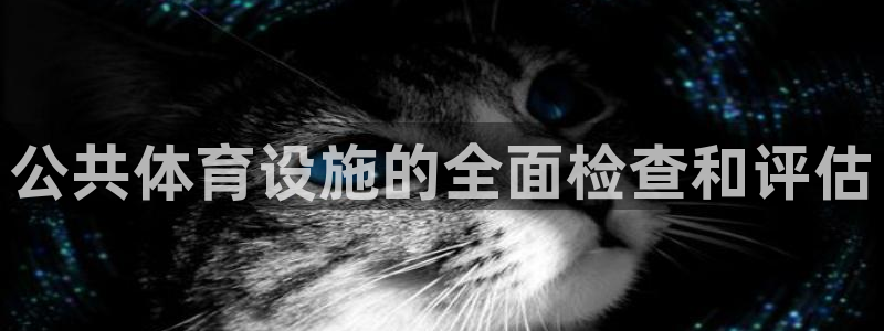 意昂体育3平台是正规平台吗知乎