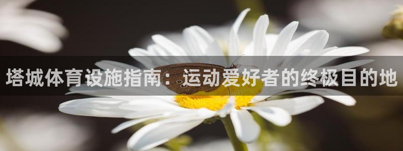 意昂平台体育：塔城体育设施指南：运动爱好者的终极目的
