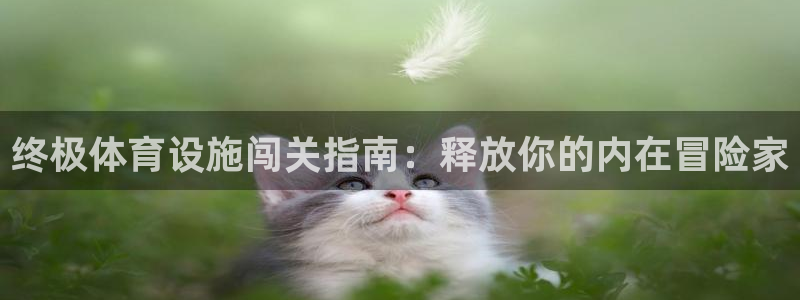 意昂体育3联系电话：终极体育设施闯关指南：释放你的内