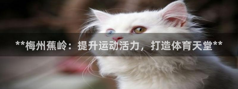 意昂3集团简介：**梅州蕉岭：提升运动活力，打造体育