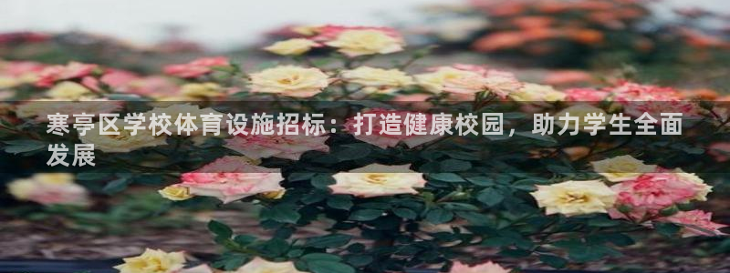 意昂体育3招商电话是多少号码：寒亭区学校体育设施招标