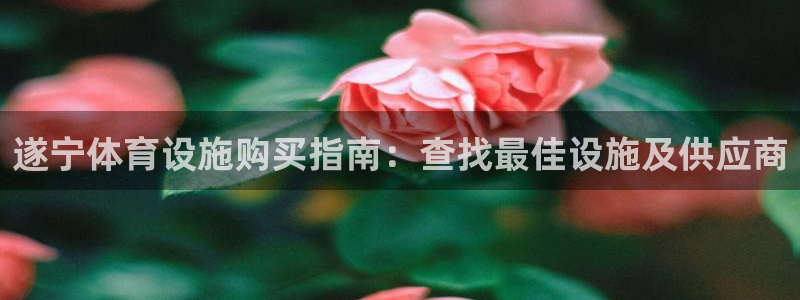 意昂体育3注册：遂宁体育设施购买指南：查找最佳设施及