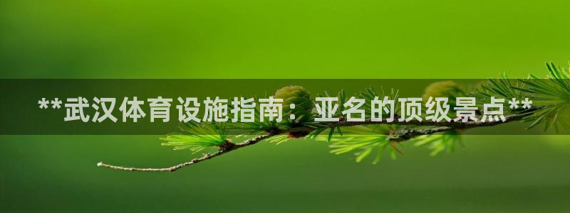 意昂体育3招商电话地址：**武汉体育设施指南：亚名的
