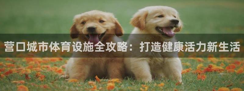 意昂体育3招商电话地址是多少：营口城市体育设施全攻略