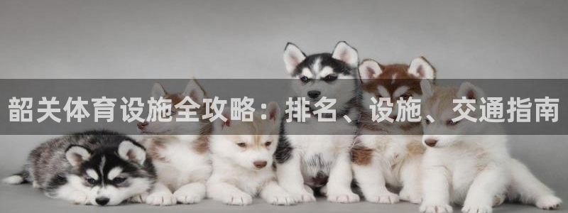 意昂体育3招商电话是多少啊：韶关体育设施全攻略：排名