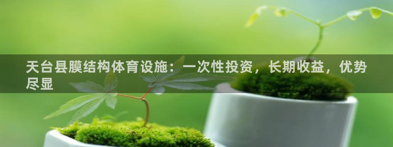 意昂3科技：天台县膜结构体育设施：一次性投资，长期收