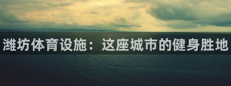 意昂体育3平台注册流程图：潍坊体育设施：这座城市的健