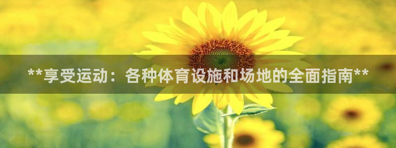意昂3娱乐：**享受运动：各种体育设施和场地的全面指
