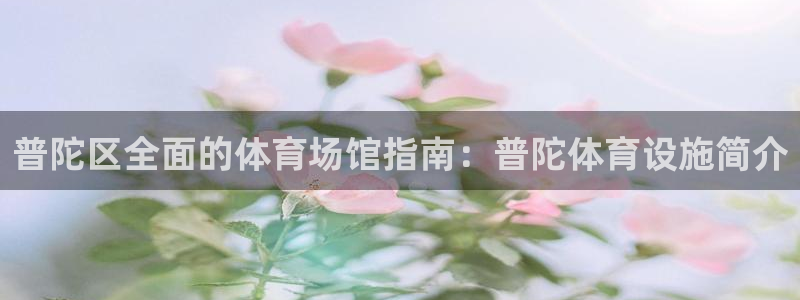 意昂3集团E.ON：普陀区全面的体育场馆指南：普陀体