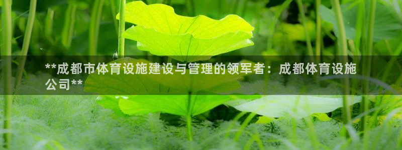 意昂3新能源：**成都市体育设施建设与管理的领军者：