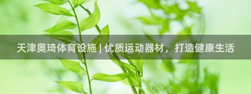 德国意昂3集团：天津奥琦体育设施 | 优质运动器材，