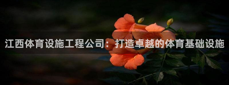 意昂集团官网：江西体育设施工程公司：打造卓越的体育基