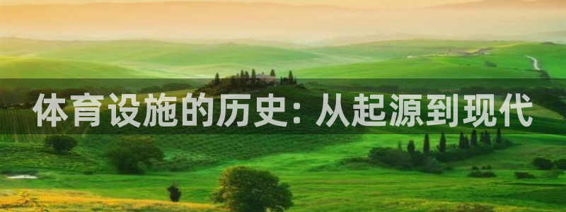 意昂体育3招商：体育设施的历史: 从起源到现代
