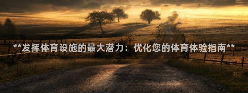 意昂3集团E.ON：**发挥体育设施的最大潜力：优化